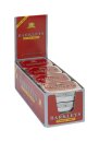 Barkleys Mini Mints Cinnamon Sugarfree 12 x15 gr.