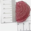 100 gr. Zuckerfreie rote Stachelbeere sauer nur von Jahrmarktbonbon