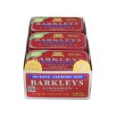 Barkleys Kaugummi zuckerfrei mit Cinnamon GUM 9 x 30 gr.