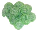 500 gr. Eukalyptus Bonbon - Kreuzdrop von Jahrmarktbonbon